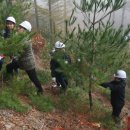 2015 주요 농림축산식품사업 ＜4＞임업 및 산촌분야 이미지