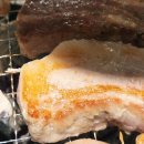 화정역 광장 | ​화정역 맛집 화로상회 화정역점 매콤닭목살부터 삼겹살까지 무한 흡입!