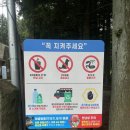 #제주도 사려니숲 한라산둘레길 숲길센터_사려니숲길 한라산 둘레길 숲길센터 코스