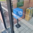 신효동 하귤나무 이미지