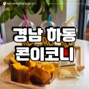 콘이코니