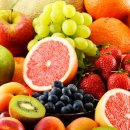 과일도시 이미지