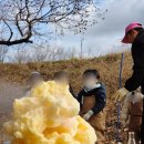 윰쌤과 함께 하는 과학실험 | [울산/울주군] 울산체험 세르파파 코끼리치약 실험 후기-내돈내산