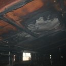 오금농장 이미지