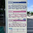 (테마투어)야경투어 | 여수낭만버스 예약 정보 및 야간테마 (시간을 달리는 버스커) 야경 투어 후기