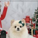 윈썸그루밍 이미지