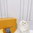 스튜디오201