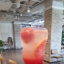 팜앤키친라비브