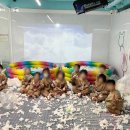 구립 청솔어린이집 이미지