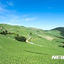 바람의언덕 이미지