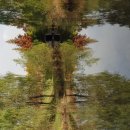 엽순공원(2) 이미지