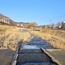 구미교 | 구미천을 품은 도량미소지움단지 전경 🏞️ 하천 냇가 돌다리, 수중보 풍경