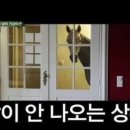 불리카 이미지