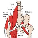 온바로한의원 이미지