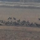 화포천생태습지공원 이미지