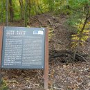 이사주당 유한규묘 이미지