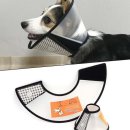 베스애견 이미지