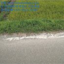 웅양면 오산경로당 이미지