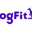 독핏코리아 이미지