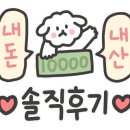 캣플 동탄점 이미지