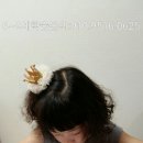 석적초교(병설) 이미지