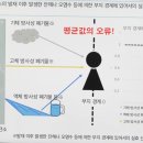 2. '1mSv'라는 평균값의 함정 이미지