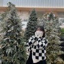1222-1231:: 나해니랑 더현대서울, 유뎡이랑 사주, 뽀나모나 크리스마스 파티, 연말 기념 나태지옥...