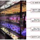 태양빛 이미지