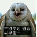 드리오 이미지