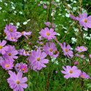 계절그리기 이미지