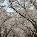 암곡와동경로당 이미지