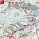 늑대와 여우 이미지