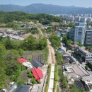 봉산 이팝나무길 이미지