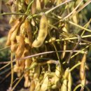 달봉농원 이미지