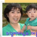 오딜리아 이미지