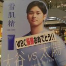 일본에서 신이 되어버린 남자 비현실적인 오타니 광고 수익 ㄷㄷㄷㄷ 이미지
