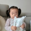여름기저귀 팸퍼스 터치오브네이처썸머 둘째 3년차 사용 후기