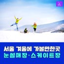 서울 스케이트장(서울광장.노들섬.올림픽공원) 이미지