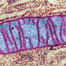 영에너지 발전소 이미지