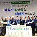 뉴스팜