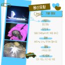 몽산포항 해루질 갯벌체험 쭈꾸미부터 피조개까지 다잡아버려!