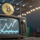 신화BTC