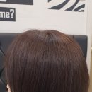 김호증모가발by헤어리서치 이미지