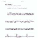 Beatles / Hey Bulldog 이미지