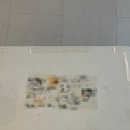 강동축산 | 25-06_농라 강동축산 뭉티기 후기