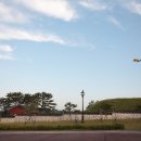 조명군총 이미지