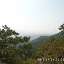 파로호가스 이미지