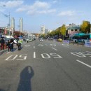주정차-8 이미지