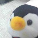 뽐마켓