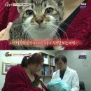 화남농장 이미지